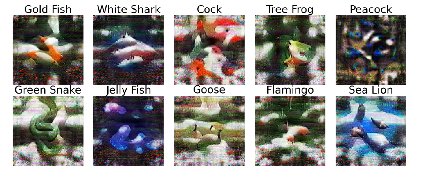 Distilled Images